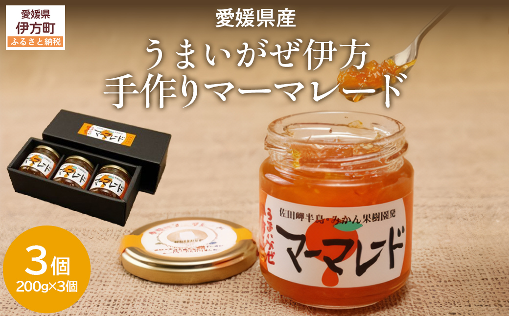 【愛媛県産】うまいがぜ伊方手作りマーマレード（200g×3個） IKTI012