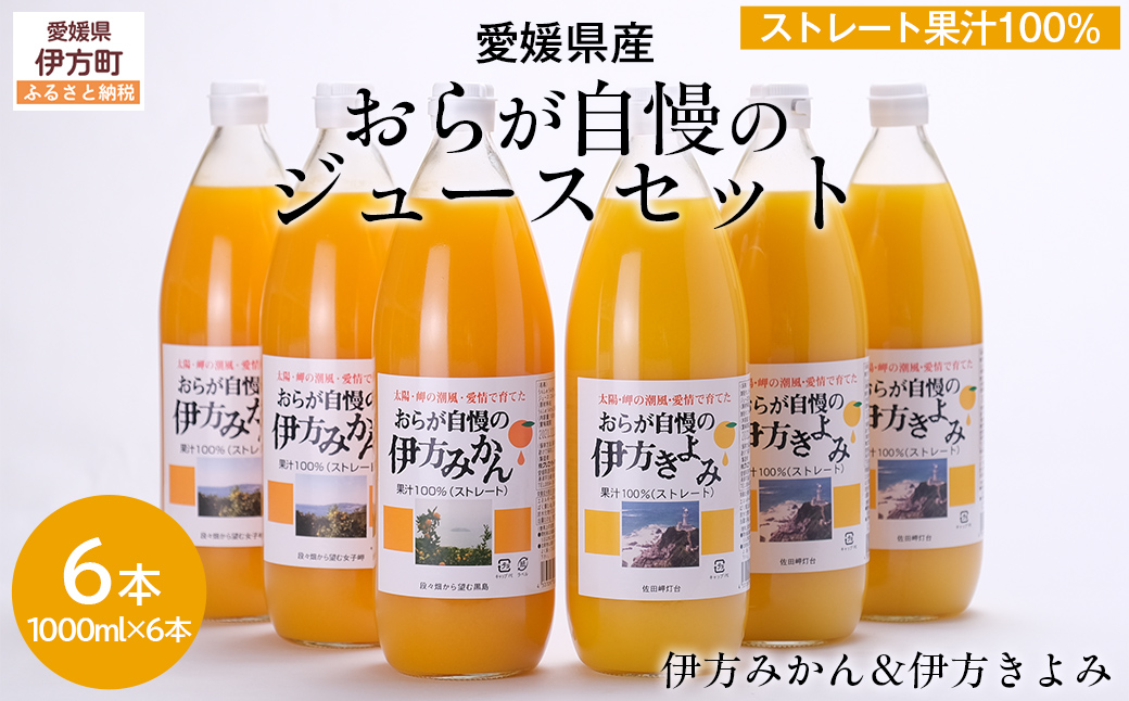 【先行予約】【愛媛県産】おらが自慢のジュースセット（1000ml×6本/みかん3、きよみ3） ストレート果汁100％ 無添加・無着色（2026年4月より順次発送）  IKTI014