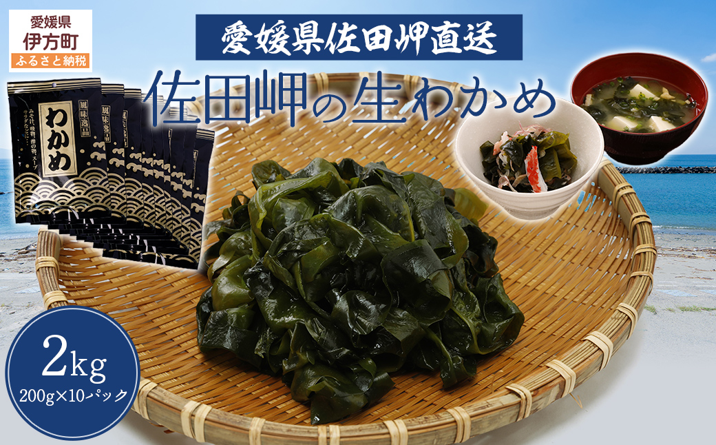 【佐田岬・漁師直送】佐田岬の生わかめ（200g×10P) ※離島への配送不可 IKTP012