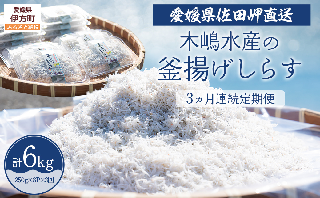 【佐田岬・漁師直送】【3ヵ月連続定期便】 木嶋水産の釜揚げしらす 6kg（1回250g×8P×3回)  ※離島への配送不可 IKTP013