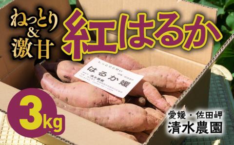 愛媛県伊方町産 瀬戸の紅はるか3kg | さつまいも サツマイモ 芋 ※着日指定不可 ※離島への配送不可