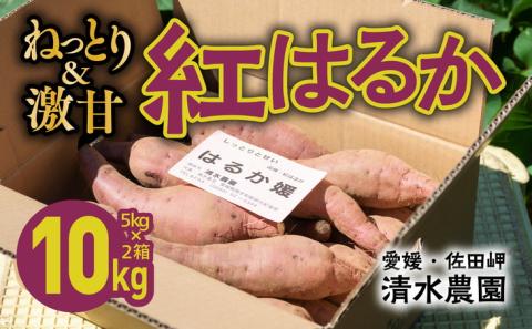 瀬戸の紅はるか 10kg(5kg×2箱) | 芋 さつまいも サツマイモ 紅はるか 焼き芋 スイートポテト 国産 産地直送 愛媛 ※離島への配送不可