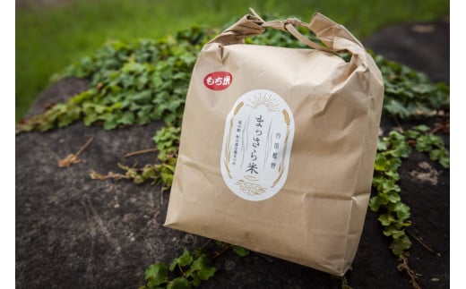 四国・森の国まつののお米「まっさら米」もち米5kg ◆　※離島への配送不可