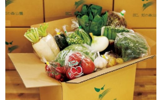 【毎月6回定期便】道の駅「虹の森公園まつの」産直市 新鮮野菜セット6種類以上 ◇ ｜野菜 お野菜 やさい 新鮮野菜 お試し おすすめ 季節 季節野菜 詰め合わせ 旬　厳選 産地直送 おまかせ 野菜セット ふるさと納税 愛媛県 松野町