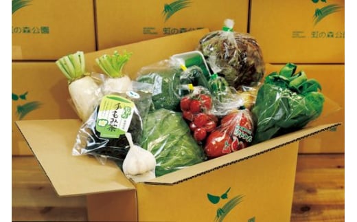 【毎月12回定期便】道の駅「虹の森公園まつの」産直市 新鮮野菜セット6種類以上＆特産品セット ◇ ｜野菜 お野菜 やさい 新鮮野菜 お試し おすすめ 季節 季節野菜 詰め合わせ 旬　厳選 産地直送 おまかせ 野菜セット ふるさと納税 愛媛県 松野町