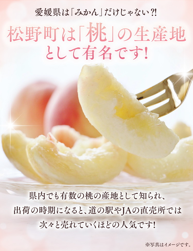 【綱崎さんの桃】完熟桃のシロップ漬け 3kg ※離島への配送不可 | スイーツ お菓子 バレンタインデー ホワイトデー 完熟 国産 桃 お中元 お歳暮 贈り物 贈答用 グルメ ギフト