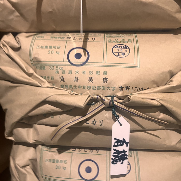 【R7年産新米】【一等米】丸身さん家の有機肥料栽培コシヒカリ 10kg ｜ 米 令和7年産 10kg 送料無料 国産 ふるさと納税 ※離島への配送不可