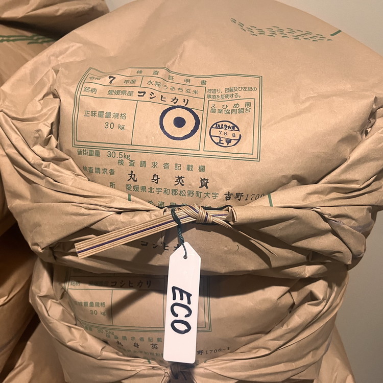 【R7年産新米】【一等米】丸身さん家のエコえひめ栽培コシヒカリ 10kg ｜ 米 令和7年産 10kg 送料無料 国産 ふるさと納税 ※離島への配送不可