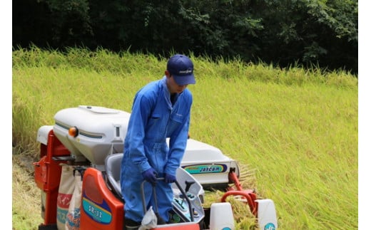 【地元高校生企画】文部科学大臣賞を受賞した地元高校生がセレクト！「奥内の棚田米」2kg×2袋【限定30セット】| 奥内 棚田 米 コシヒカリ あきたこまち 2kg 2袋 精米4kg 文部科学大臣賞 受賞 マツノイズムプロジェクト マツノイズム 愛媛県 松野町 高校生 特産品 ふるさと納税 お取り寄せ