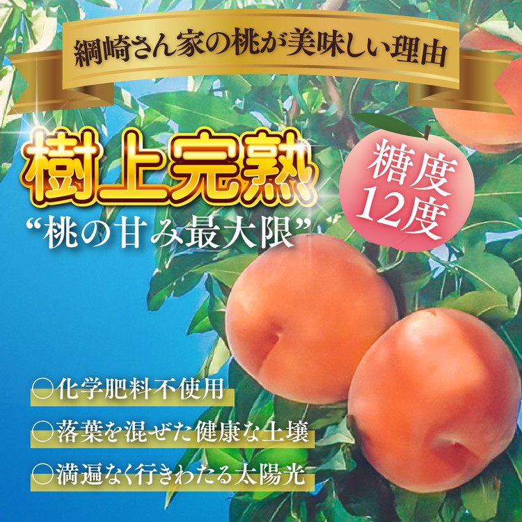 【綱崎さんの桃】完熟桃のシロップ漬け 1.5kg ※離島への配送不可 | スイーツ お菓子 バレンタインデー ホワイトデー 完熟 国産 桃 お中元 お歳暮 贈り物 贈答用 グルメ ギフト