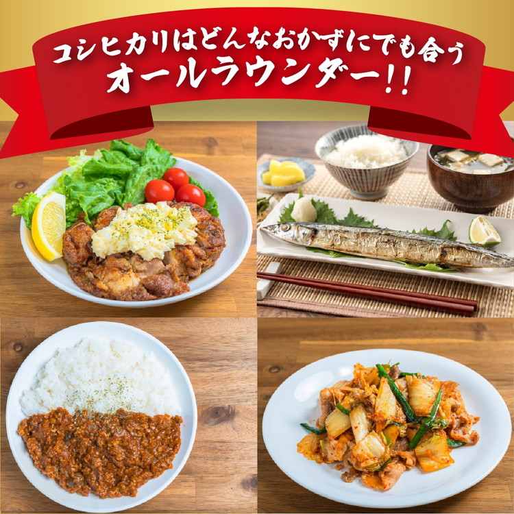 【一等米】丸身さん家のエコえひめ栽培コシヒカリ 5kg ｜ 米 令和7年産 5kg 国産 ふるさと納税 ※離島への配送不可