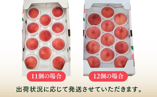 【産直・人気の特産品】森の国・松野町の桃 中玉（11～12玉）｜ もも　モモ　桃　フルーツ　果物　くだもの　果実　3.5kg　中玉　厳選　贈答　贈り物　愛媛　森の国　先行予約　数量限定　期間限定　※沖縄、離島への配送不可（北海道は可）　※2025年6月中旬頃より順次発送予定