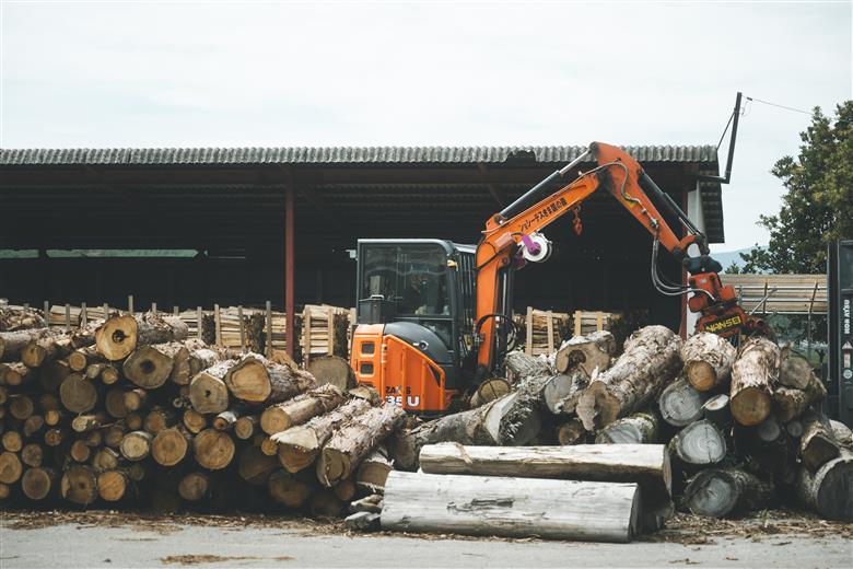 広葉樹薪【カシ】太薪 80kg（20kg×4箱）30cm ｜ 薪 針葉樹 自然乾燥 薪ストーブ アウトドア キャンプ 料理 ピザ窯 燃料 燃焼 ※離島への配送不可