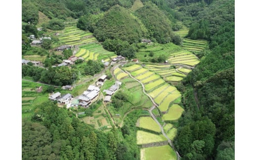 【地元高校生企画】文部科学大臣賞を受賞した地元高校生がセレクト！「奥内の棚田米」2kg×2袋【限定30セット】| 奥内 棚田 米 コシヒカリ あきたこまち 2kg 2袋 精米4kg 文部科学大臣賞 受賞 マツノイズムプロジェクト マツノイズム 愛媛県 松野町 高校生 特産品 ふるさと納税 お取り寄せ