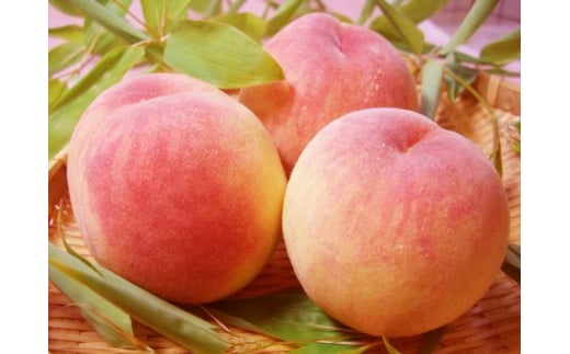 【無添加】桃ジャム・柚子（ゆず）マーマレードセット（各2個）| 桃 赤桃 柚子 ゆず ジャム マーマレード 文部科学大臣賞 受賞 マツノイズムプロジェクト マツノイズム 愛媛県 松野町 高校生 特産品 着色料 添加物 不使用 パン ヨーグルト ふるさと納税 お取り寄せ