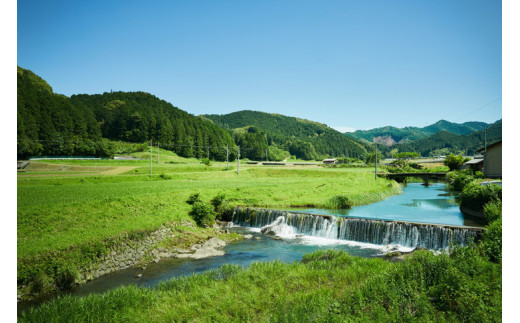 まつのジビエ お手軽セット（鹿燻製肉・ビアシンケン）◇ ｜ジビエ 鹿 しか シカ 鹿肉 ビアシンケン 燻製 珍しい グランピング キャンプ飯 BBQ バーベキュー ふるさと納税　愛媛県 松野町 お取り寄せ