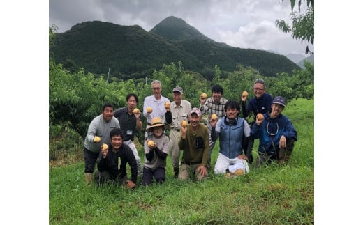宗家　源吉兆庵 希少な清水白桃を贅沢にまるごとひとつ！プレミアム桃泉果（2個入り）◇ ｜宗家 源吉兆庵 和菓子 お菓子 清水白桃 白桃 もも モモ 桃 限定 高級 ギフト 贈り物　贈答 お祝い プレミアム 贅沢 スイーツ 愛媛県 松野町 お取り寄せ 贈答用 高級 希少 絶品 旬の味