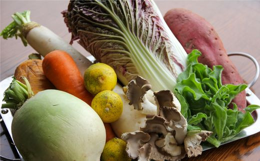 森の国「水際のロッジ」のシェフが腕をふるうランチコース（ペアランチ券） ◇ ｜愛媛県 松野町 森の国 観光 旅行 レジャー 宿泊 ロッジ 食付き チケット クーポン 滑川渓谷　国内旅行 宿泊施設 ペア ランチ コース シェフ 自慢