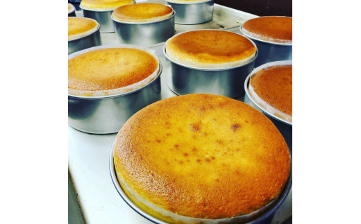 【店舗一番人気】「菓子工房KAZU」の濃厚チーズケーキ◇