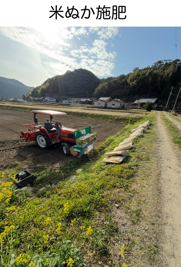 【一等米】丸身さん家のエコえひめ栽培コシヒカリ 5kg ｜ 米 令和7年産 5kg 国産 ふるさと納税 ※離島への配送不可