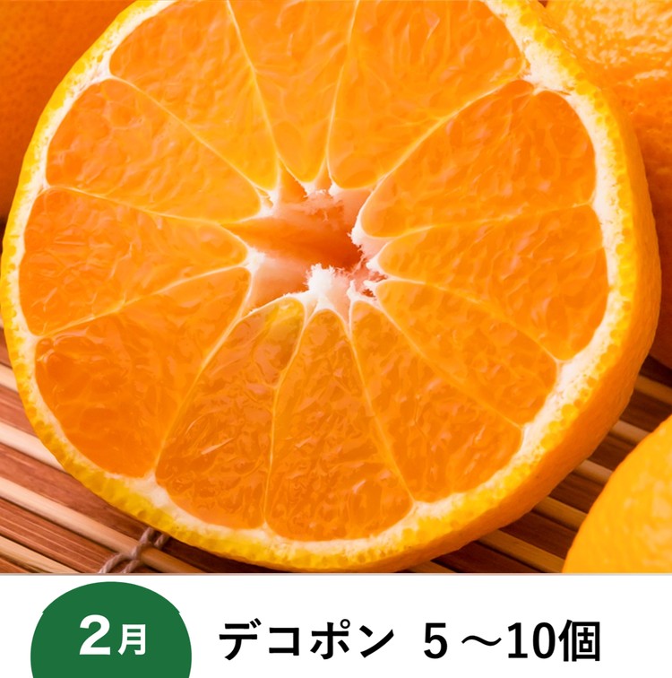 【愛媛県共通返礼品】【定期便】愛媛の柑橘定期便（全6回）（日の丸みかん・紅まどんな・いよかん・不知火（デコポン）・せとか・河内晩柑）◇　※2025年11月下旬～2026年4月下旬に毎月1回発送予定