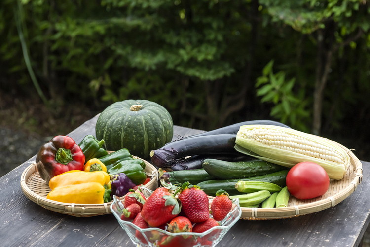 【毎月6回定期便】道の駅「虹の森公園まつの」産直市 新鮮野菜セット6種類以上 ◇ ｜野菜 お野菜 やさい 新鮮野菜 お試し おすすめ 季節 季節野菜 詰め合わせ 旬　厳選 産地直送 おまかせ 野菜セット ふるさと納税 愛媛県 松野町