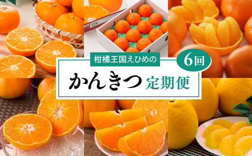 【愛媛県共通返礼品】【定期便】愛媛の柑橘定期便（全6回）（日の丸みかん・紅まどんな・いよかん・不知火（デコポン）・せとか・河内晩柑）◇　※2025年11月下旬～2026年4月下旬に毎月1回発送予定
