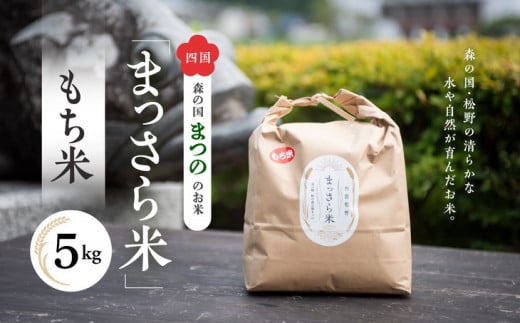 四国・森の国まつののお米「まっさら米」もち米5kg ◆　※離島への配送不可