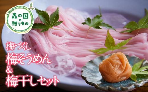 【松野町産 南高梅使用】香りひろがる梅そうめん・梅干しセット ◆ | 梅干し 梅 うめ 南高梅 しそ漬 肉厚 手延べ 五色 そうめん 文部科学大臣賞 受賞 マツノイズムプロジェクト マツノイズム 愛媛県 松野町 高校生 特産品 ふるさと納税 お取り寄せ