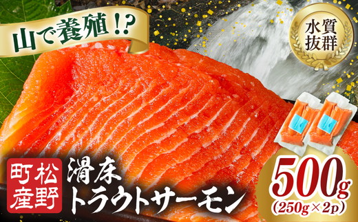 【森の国で養殖】滑床トラウトサーモン 500g（250g×2P） ｜ 刺身 小分け 切り身 ふるさと納税 国産 冷凍 ※離島への配送不可
