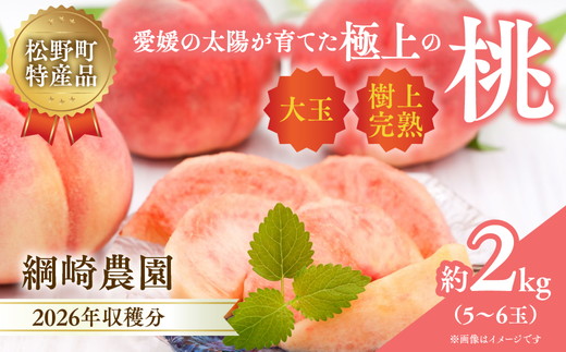 【2026年出荷分先行予約】愛媛の桃どころ 「綱崎農園」から届ける大玉桃 約2kg ｜ ふるさと納税 桃 冷蔵 松野町 フルーツ ギフト ※北海道・沖縄・離島への配送不可 ※2026年6月中旬～8月中旬もしくは下旬頃に順次発送予定
