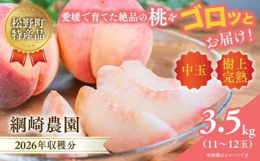 【2026年出荷分先行予約】愛媛の桃どころ 「綱崎農園」から届ける中玉桃 約3.5kg ｜ ふるさと納税 桃 冷蔵 松野町 フルーツ ギフト ※北海道・沖縄・離島への配送不可 ※2026年6月中旬～8月中旬もしくは下旬頃に順次発送予定