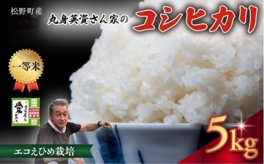 【一等米】丸身さん家のエコえひめ栽培コシヒカリ 5kg ｜ 米 令和7年産 5kg 国産 ふるさと納税 ※離島への配送不可