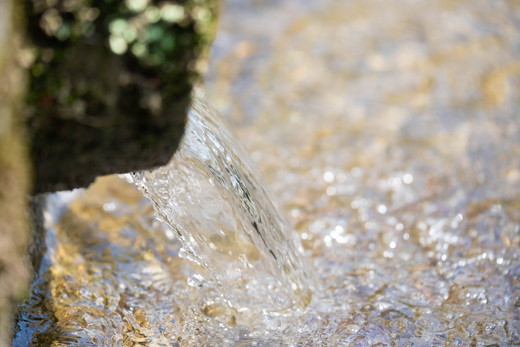 【おにぎり専門店御用達！】藤城さん家のミルキークイーン5kg【令和7年産】 ｜ ご飯 白米 お米 5kg 令和7年 定期便 令和7年産 精米済み 愛媛県鬼北町　※2025年9月下旬頃より順次発送予定