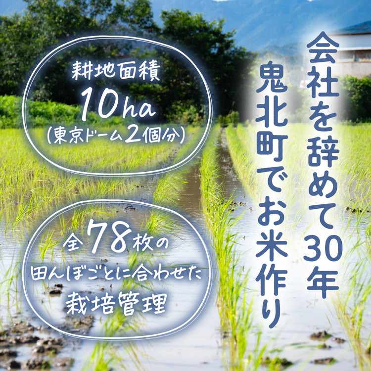 【3ヵ月定期便】谷口さん家のコシヒカリ 計15kg（5kg×3回） ｜ ご飯 白米 お米 令和7年 定期便 令和7年産 15kg 精米済み 愛媛県鬼北町 ※離島への配送不可