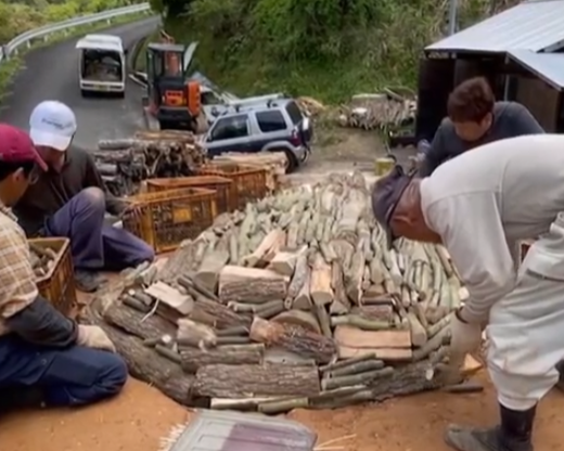 鬼の炭花～おにのすみか～樫の木炭　切炭3kg×3箱セット　＜薪 ストーブ アウトドア キャンプ ピザ ボイラー 自然 火 炎 燃料 焚火 暖炉 窯焼き  焚火 キャンプファイヤー 愛媛県 鬼北町>