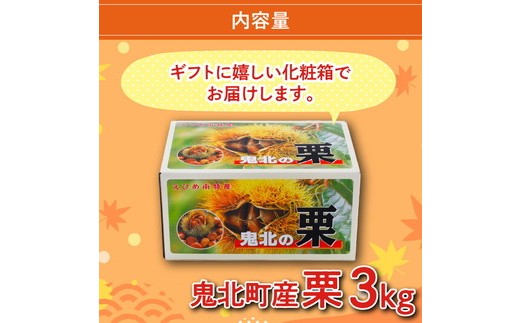 【鬼の栗拾い】鬼北町産くり 約3kg ｜ 大粒 生栗 和栗 国産栗 地域限定 丹波栗 くり 栗 栗ご飯 生栗 果物 フルーツ 先行予約 数量限定 ※離島への配送不可 ※2025年9月中旬～10月上旬頃に順次発送予定
