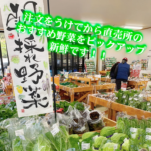鬼北の大地が育んだ新鮮野菜！季節の新鮮野菜詰め合わせ　＜野菜 やさい 詰め合わせ 新鮮 旬 季節 愛媛県 鬼北町＞