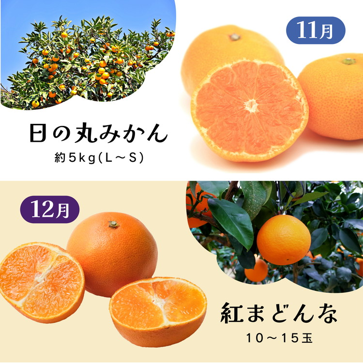 【定期便】2025年11月発送開始　えひめかんきつ定期便　全6回＜みかん 柑橘 フルーツ 定期便 国産 愛媛県 ＞　※離島への配送不可　※2025年11月下旬～2026年4月下旬頃に順次発送予定