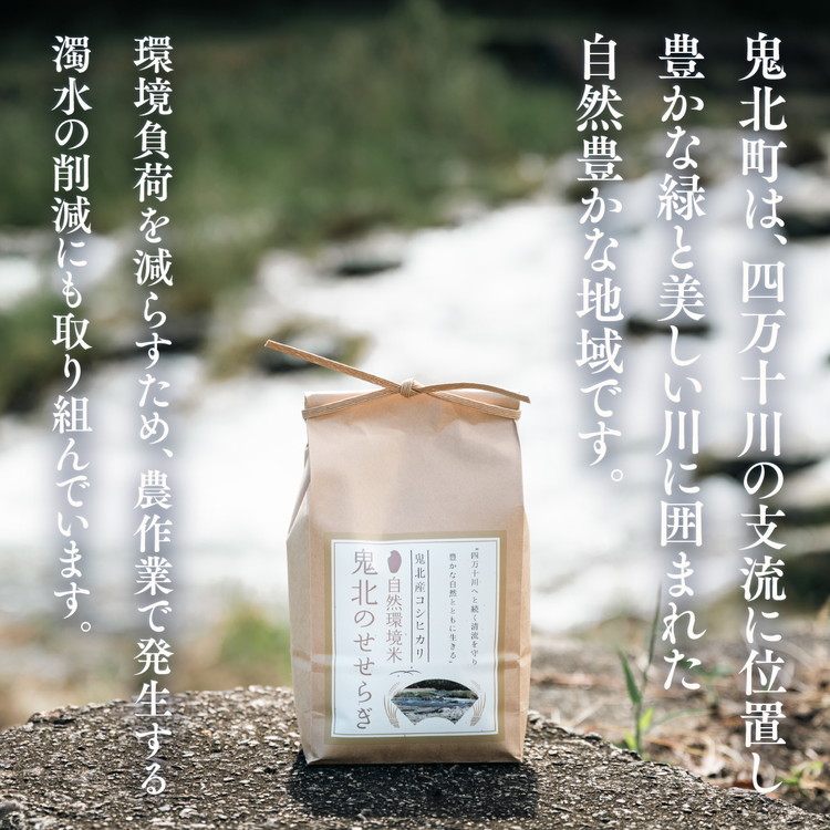 【R7年産】【自然環境米】鬼北のせせらぎ（コシヒカリ）5kg×2 ｜ お米 お米不足 お米品薄 おいしい お米 事業者支援 送料無料 白米 精米 国産 限定 ごはん ご飯 白飯 ゴハン 愛媛県産 鬼北町 ※2025年9月下旬頃より順次発送予定
