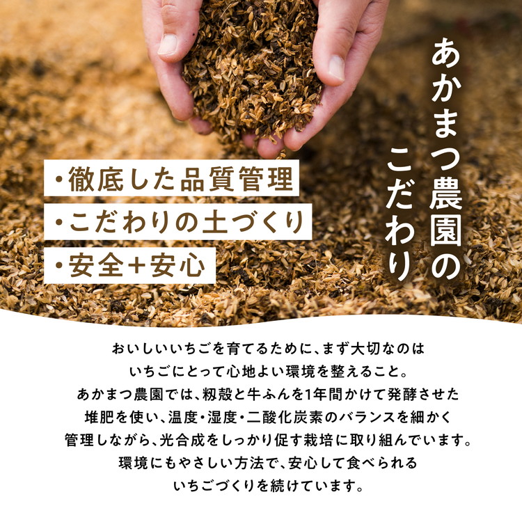 【2026年春収穫分】【先行予約】紅ほっぺ 4パック（約720g） | いちご イチゴ 苺 大福 ジャム タルト アイス ケーキ ギフト あかまつ農園 ※離島への配送不可 ※2026年2月中旬頃より順次発送予定