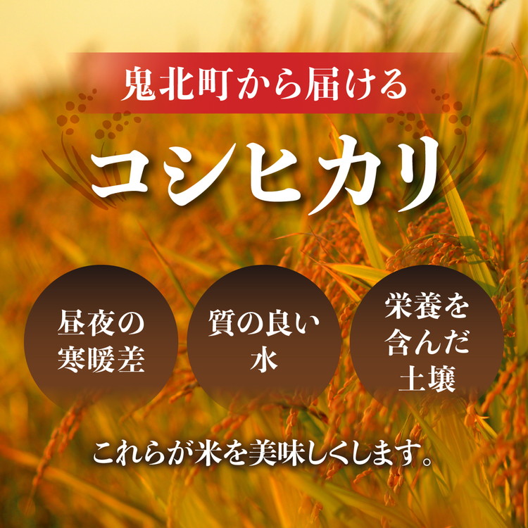 【R7年産新米】愛媛県産 コシヒカリ 10kg ｜ ご飯 白米 お米 令和7年産 5kg 10kg 20kg 精米済み ※2025年10月上旬～12月下旬頃に順次発送予定 ※離島への配送不可