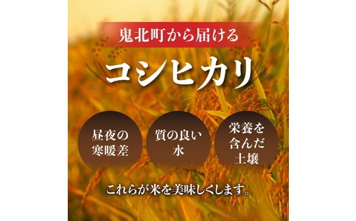 【2ヵ月定期便】【令和8年産新米】コシヒカリ 計10㎏（5kg×2回） ｜ ご飯 白米 お米 5kg 10kg 精米済み 先行予約 ※2026年10月下旬～12月下旬頃に順次発送予定 ※離島への配送不可