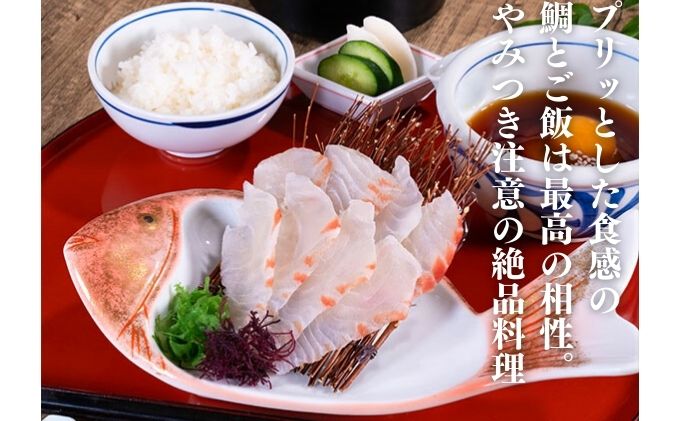 宇和海産真鯛の鯛めしの素セット（3人前）