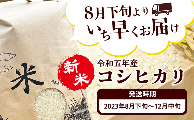 3ヶ月連続定期便【コシヒカリ5kg】お米屋さんも大絶賛の新米！