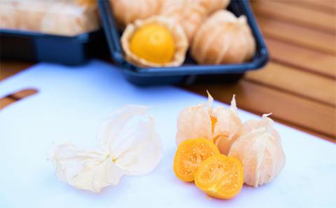 鬼あかり（ほおずき）120g×4パック ｜ 鬼灯 ホウズキ 特産品 ジャム フルーツ 愛媛県 鬼北町 ※2025年4月上旬～5月上旬頃に順次発送予定