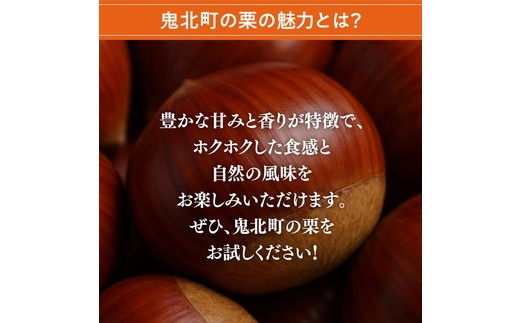 【鬼の栗拾い】鬼北町産くり 約3kg ｜ 大粒 生栗 和栗 国産栗 地域限定 丹波栗 くり 栗 栗ご飯 生栗 果物 フルーツ 先行予約 数量限定 ※離島への配送不可 ※2025年9月中旬～10月上旬頃に順次発送予定
