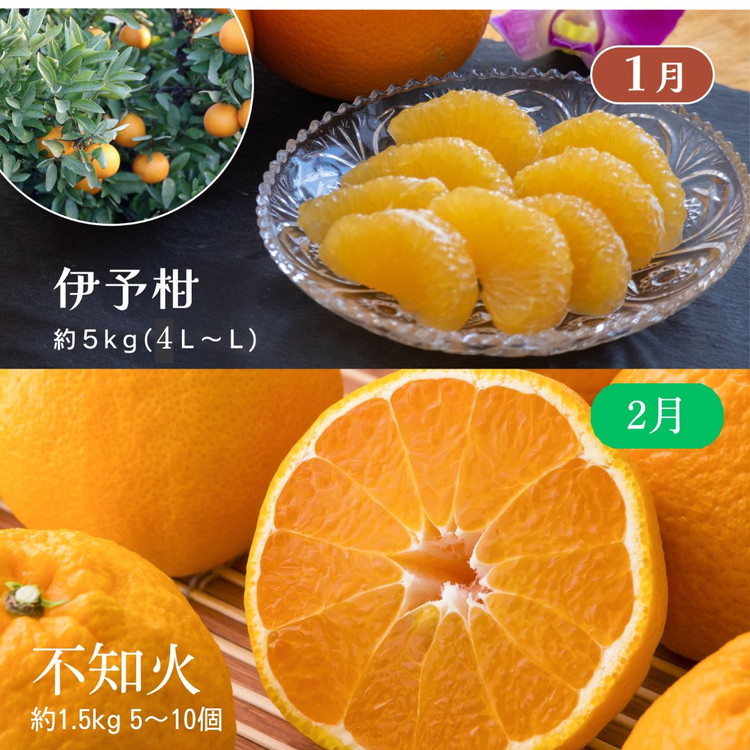 【定期便】2025年11月発送開始　えひめかんきつ定期便　全6回＜みかん 柑橘 フルーツ 定期便 国産 愛媛県 ＞　※離島への配送不可　※2025年11月下旬～2026年4月下旬頃に順次発送予定