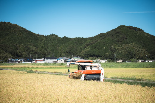 【令和7年4月1日より寄附額見直し】【令和6年産】3ヶ月連続定期便【自然環境米】鬼北のせせらぎ5kg×3回 ｜ お米 お米不足 お米品薄 おいしい お米 事業者支援 送料無料 白米 精米 国産 限定 ごはん ご飯 白飯 ゴハン 愛媛県産 鬼北町