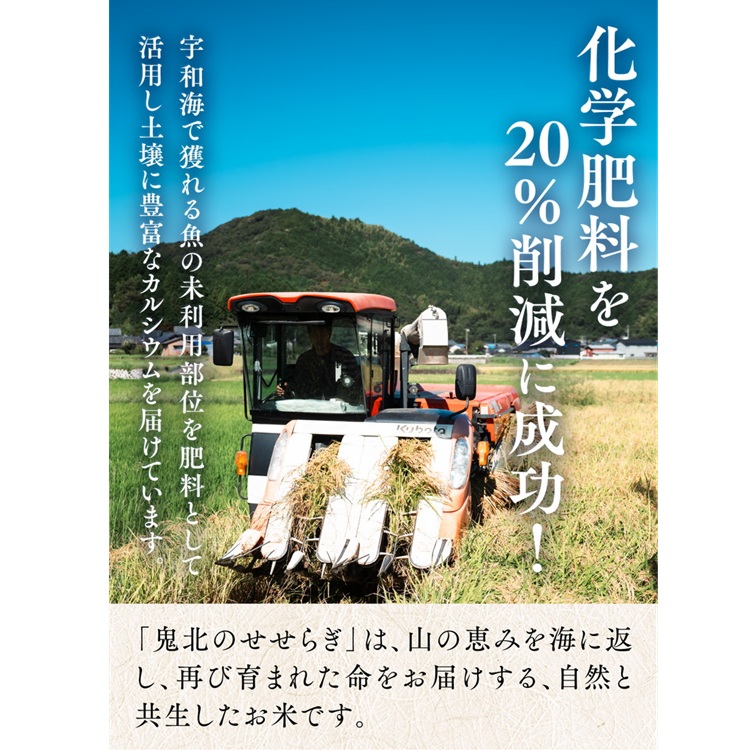 【R7年産】【自然環境米】鬼北のせせらぎ（コシヒカリ）5kg×2 ｜ お米 お米不足 お米品薄 おいしい お米 事業者支援 送料無料 白米 精米 国産 限定 ごはん ご飯 白飯 ゴハン 愛媛県産 鬼北町 ※2025年9月下旬頃より順次発送予定